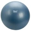 Everlast F.I.T. 55cm/22" Pro Grip Burst Resistance Textured Surface Fitness Ball 2 Everlast F.I.T. 55cm/22" Pro Grip Burst Resistance Textured Surface Fitness Ball -Fitness & Health Care Store 632234