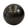 Merrithew Stability Ball™ With Pump 22"