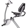 Stamina Recumbent Exercise Bike With Upper Body Exerciser -Fitness & Health Care Store 646642