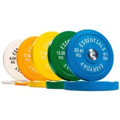 BalanceFrom Everyday Essentials Coloured Bumper Plate Weight With Steel Hub 260lbs